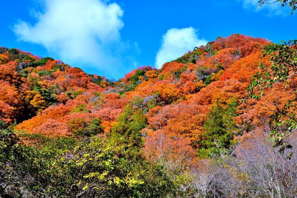 六甲山