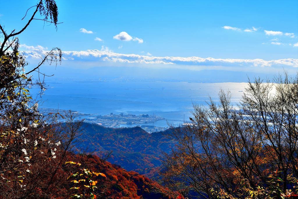 六甲山からの眺め